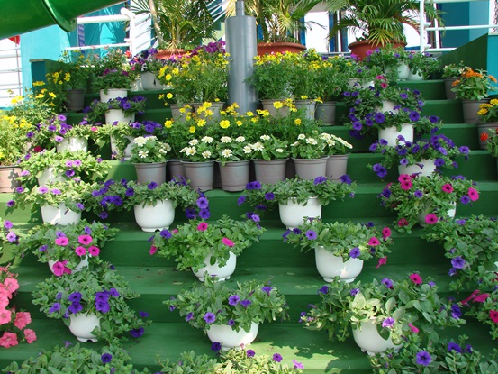 Đầm Sen Nước – Công viên nước Đầm Sen – Dam Sen Water Park – Ốc đảo xanh mát giữa thành phố