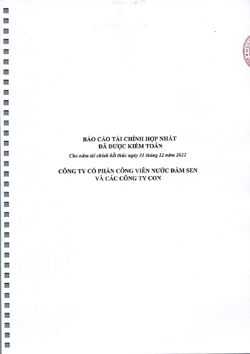 BCTC HN nam 2022 da kiem toan web DSN pdf