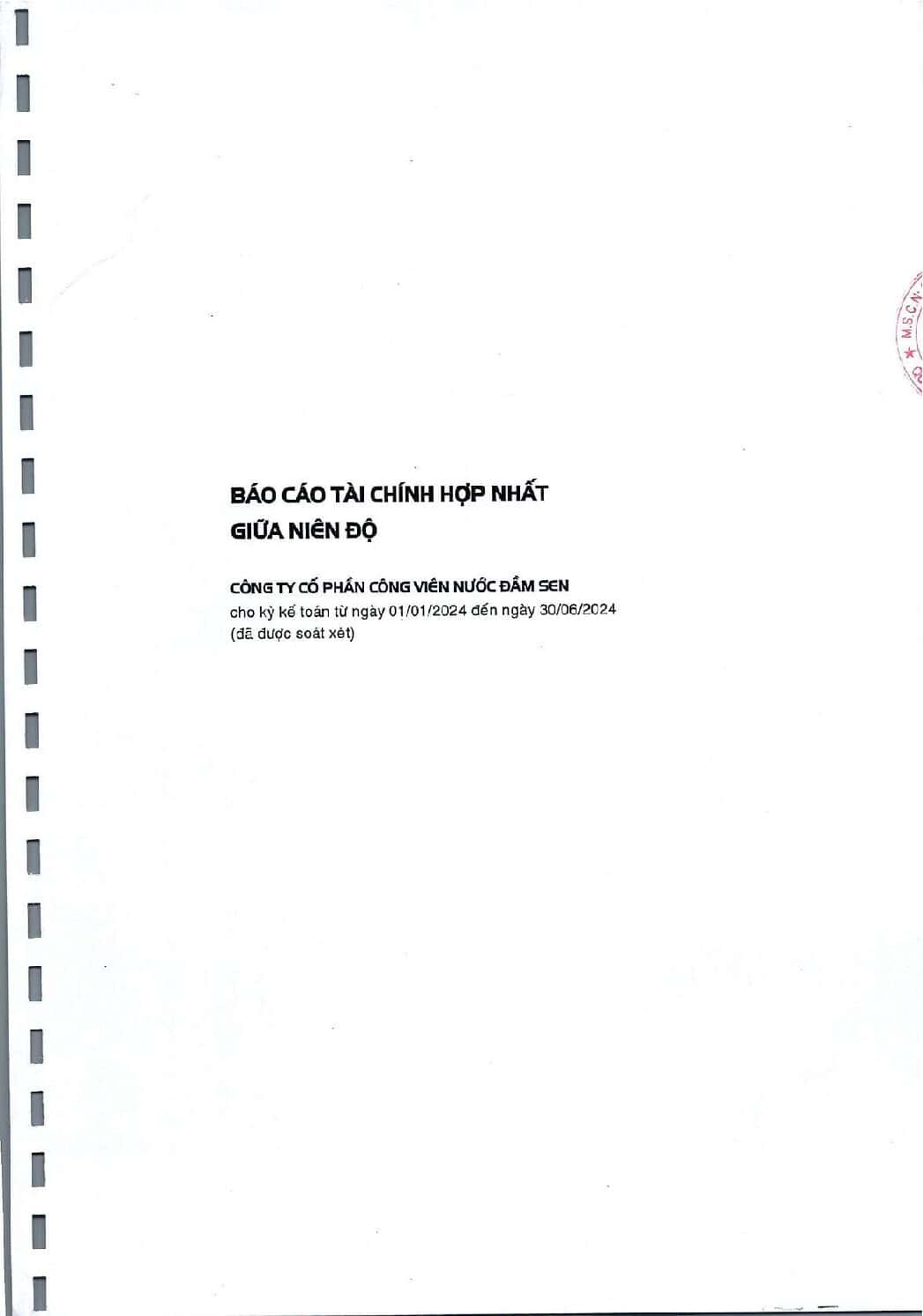 CBTT BCTC ban nien 2024 co soat xet HOP NHAT va giai trinh webdsn pdf