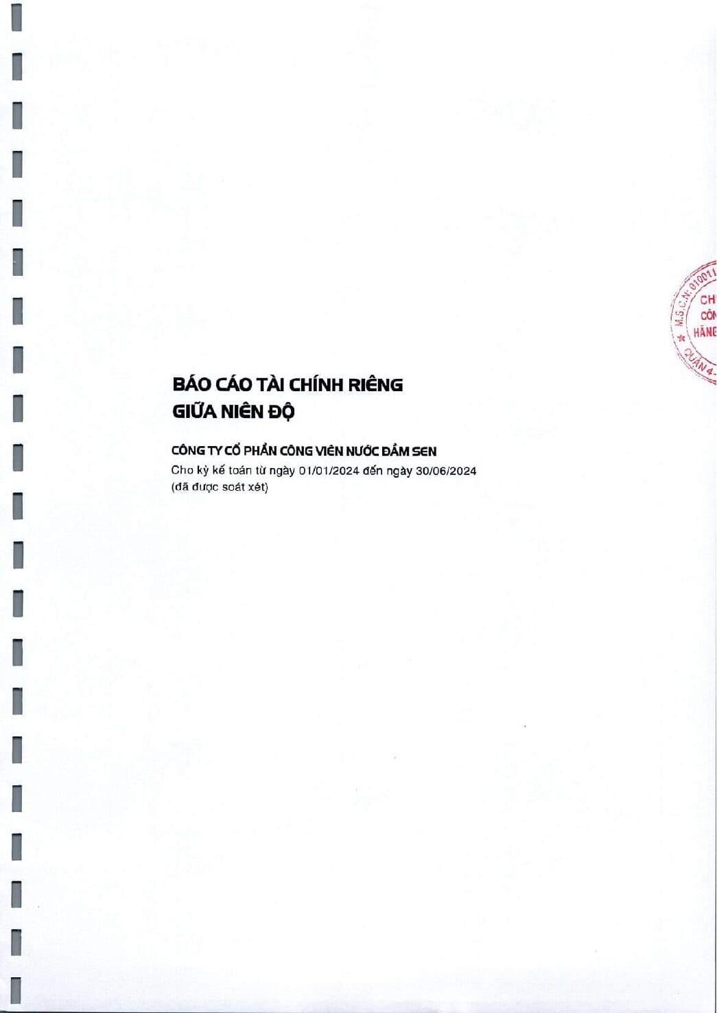 CBTT BCTC ban nien 2024 co soat xet cong ty me va giai trinh webdsn pdf