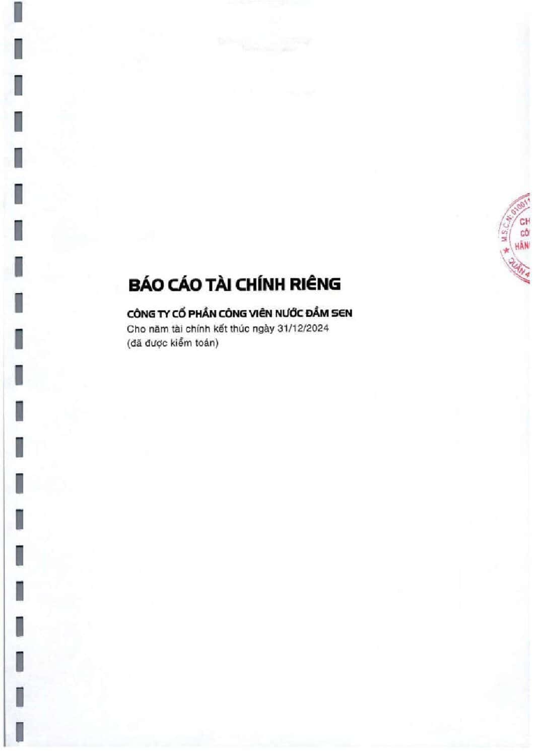 8.1 BCTC RIENG nam 2024 da kiem toan V A dsn pdf