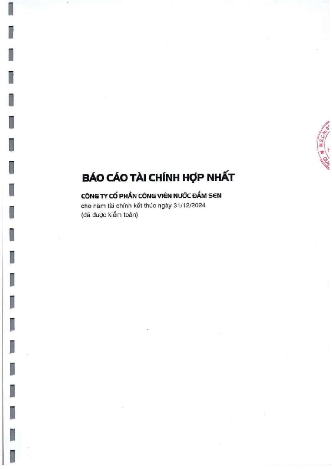 8.2 BCTC HN nam 2024 da kiem toan V A dsn pdf