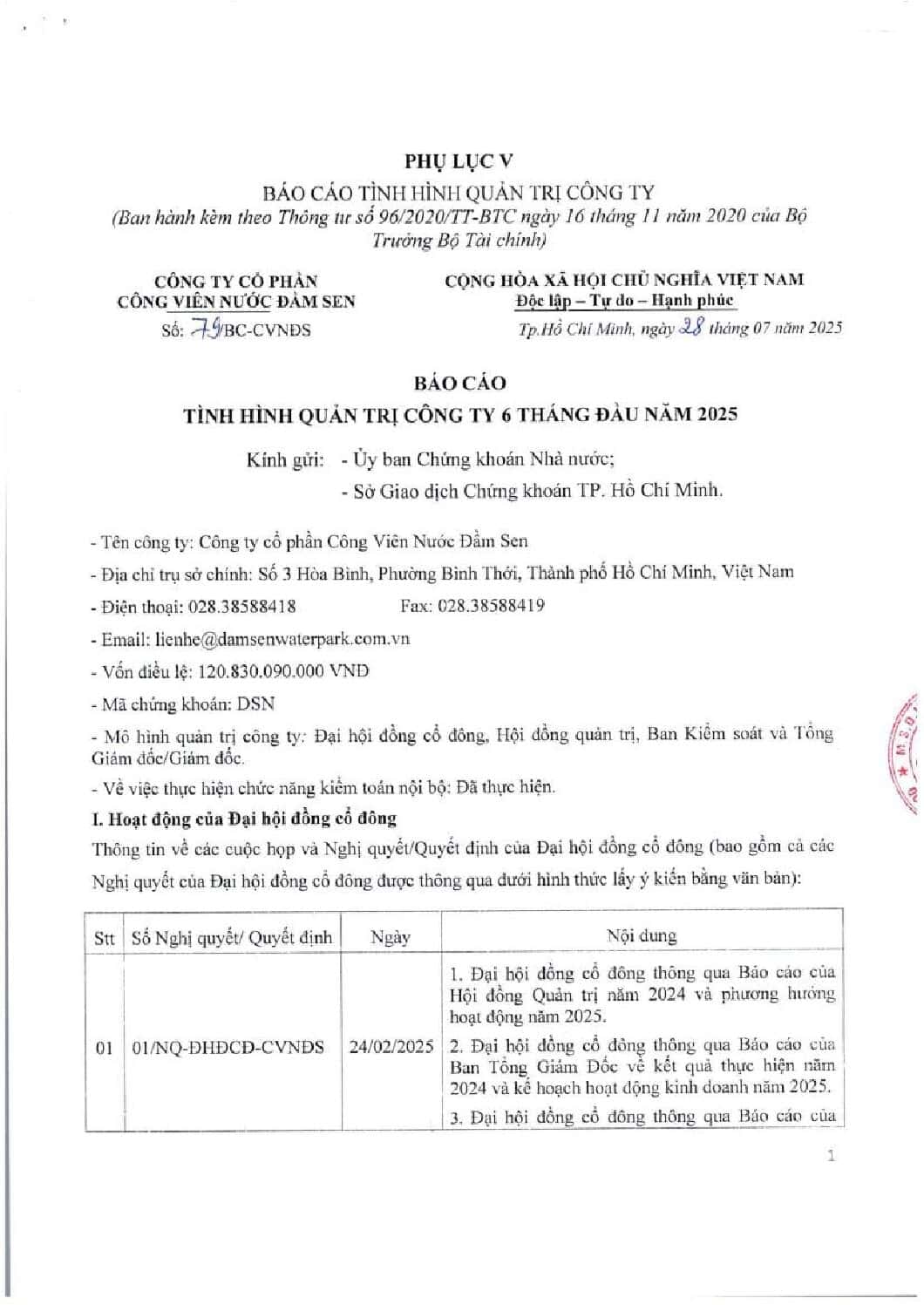 20250728 DSN Bao cao tinh hinh quan tri cong ty 6 thang dau 2025 ban CBTT TV TA web dsn pdf