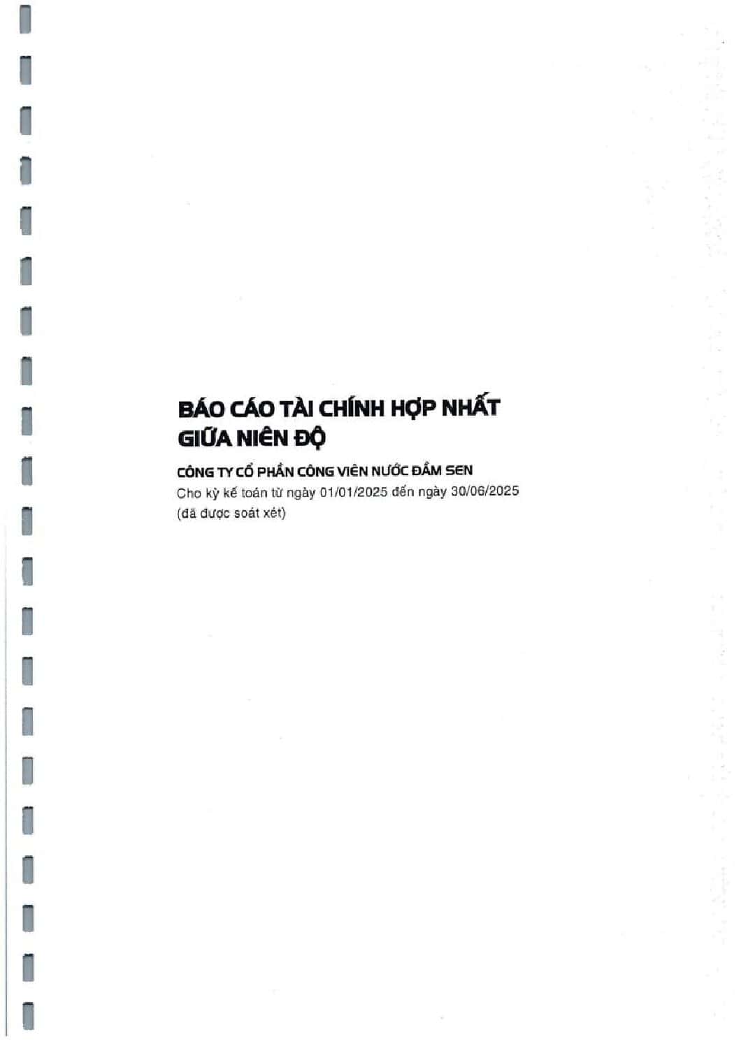 20250807 DSN BCTC BAN NIEN SOAT XET 2025 HOP NHAT KEM GT TV TA web dsn pdf