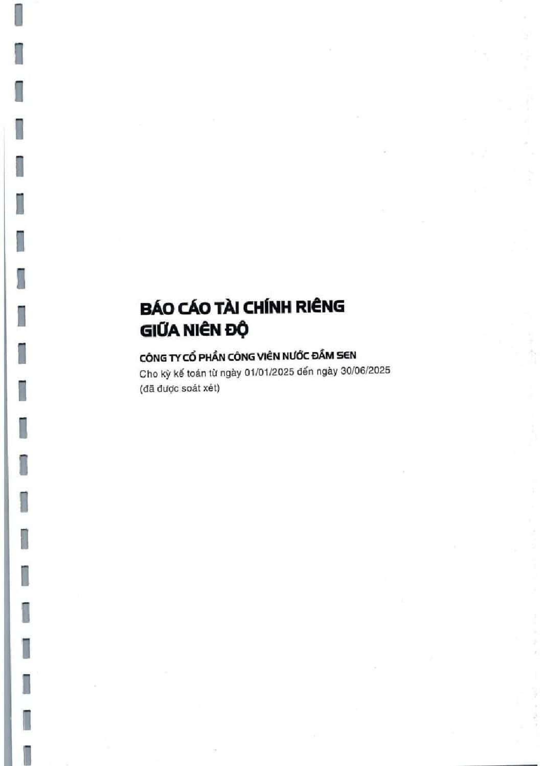 20250807 DSN BCTC BAN NIEN SOAT XET 2025 RIENG KEM GT TV TA web dsn pdf