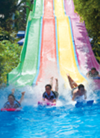 Đầm Sen Nước – Công viên nước Đầm Sen – Dam Sen Water Park – Ốc đảo xanh mát giữa thành phố